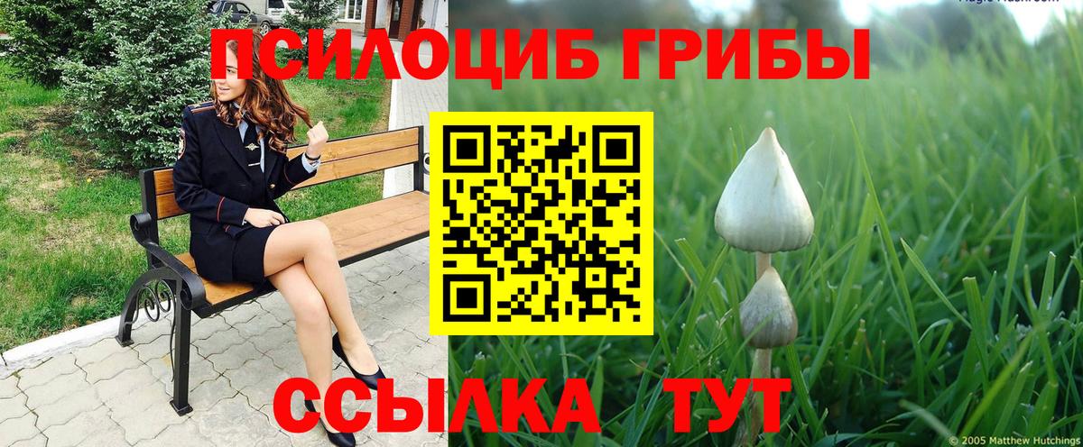 Галлюциногенные грибы мухоморы Бахчисарай