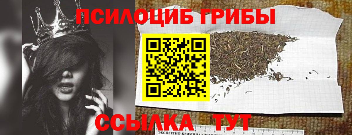 Галлюциногенные грибы MAGIC MUSHROOMS  Галлюциногенные грибы Cubensis  Бахчисарай  сколько стоит  Вход с VPN 